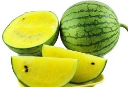 吃瓜娱乐图片高清无水印