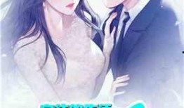 娱乐吃瓜酱肉小说,吃瓜酱肉小说，揭秘明星幕后故事