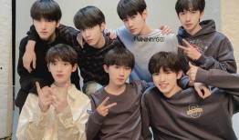 娱乐吃瓜鹅时代少年团,娱乐吃瓜鹅时代的青春偶像传奇