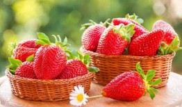 娱乐吃瓜草莓小说,娱乐圈的甜蜜瓜田