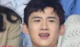 娱乐吃瓜君林俊杰,娱乐吃瓜界的音乐王子