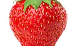 娱乐吃瓜草莓小说,娱乐圈的甜蜜瓜田