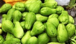 东瓜娱乐吃瓜,揭秘娱乐圈那些吃瓜背后的故事