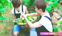 吃瓜星娱乐趣人趣事儿,趣人趣事儿大揭秘