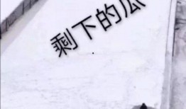 娱乐有态度吃瓜有深度的句子,深度解析吃瓜群众的趣味世界