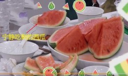 娱乐吃瓜中,揭秘明星幕后故事，吃瓜群众狂欢时刻