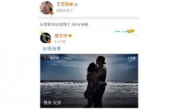 娱乐圈吃瓜视频素材网站