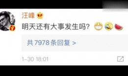 吃瓜娱乐有限公司,揭秘娱乐圈幕后故事，带你领略娱乐产业风云变幻