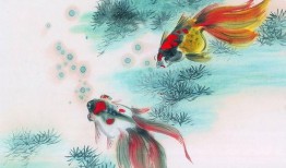 娱乐吃瓜酱飞鸟与鱼,娱乐吃瓜酱的甜蜜邂逅