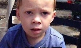 娱乐吃瓜酱被自己蠢哭,一瓜未吃，先被自己蠢哭