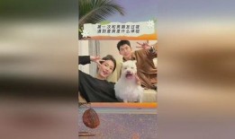 吃瓜娱乐间抖音小游戏