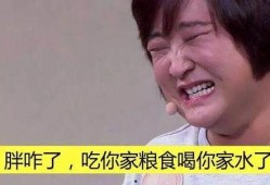 为了吃瓜吃进了娱乐圈