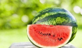 东瓜娱乐中老年吃瓜