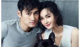 娱乐圈吃瓜爆料小徐徐,揭秘娱乐圈背后的秘密与真相