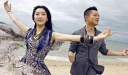 娱乐吃瓜酱凤凰传奇,揭秘凤凰传奇背后的故事与传奇