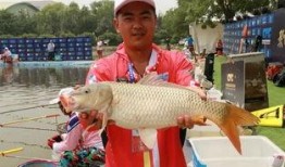 娱乐吃瓜遛鸟大师是谁,揭秘娱乐圈幕后风云人物