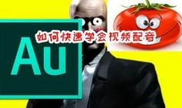 娱乐吃瓜高质量的视频素材,独家高清吃瓜视频，带你领略明星幕后故事