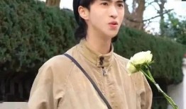 娱乐八卦吃瓜背景图高清,揭秘高清吃瓜图背后的娱乐八卦