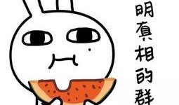 娱乐吃瓜酱侵权,揭秘网络红人版权争议背后的真相