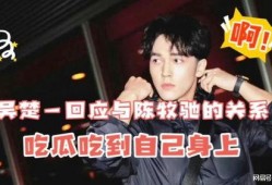 娱乐圈吃瓜陈牧驰,揭秘吃瓜背后的真相