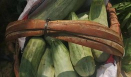 娱乐吃瓜带货,娱乐圈吃瓜达人带你解锁带货新姿势