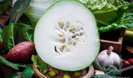 东瓜娱乐中老年吃瓜