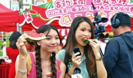 吃瓜者娱乐,揭秘娱乐圈幕后故事