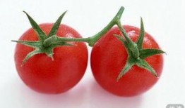 番茄娱乐圈读心吃瓜文,揭秘明星内心世界，吃瓜群众必备指南