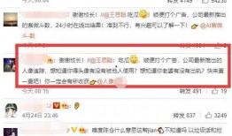 娱乐吃瓜老王是谁的小说,揭秘娱乐圈幕后风云